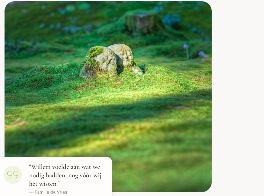 Serene mosbedekte natuur